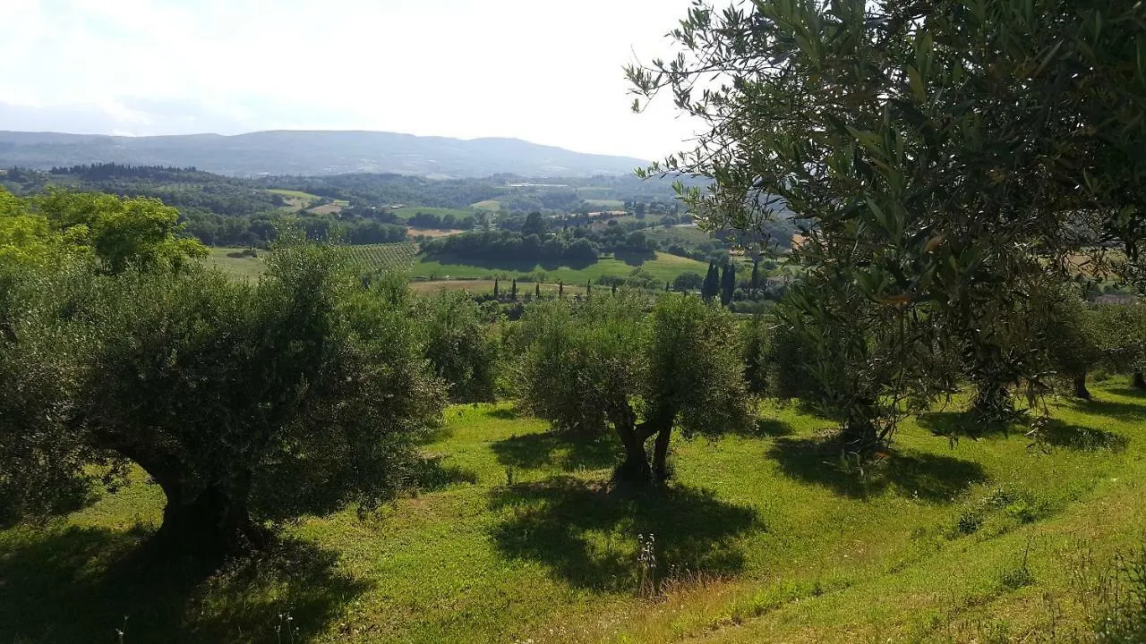Holiday home Montevenere 83 Villa Chiusi