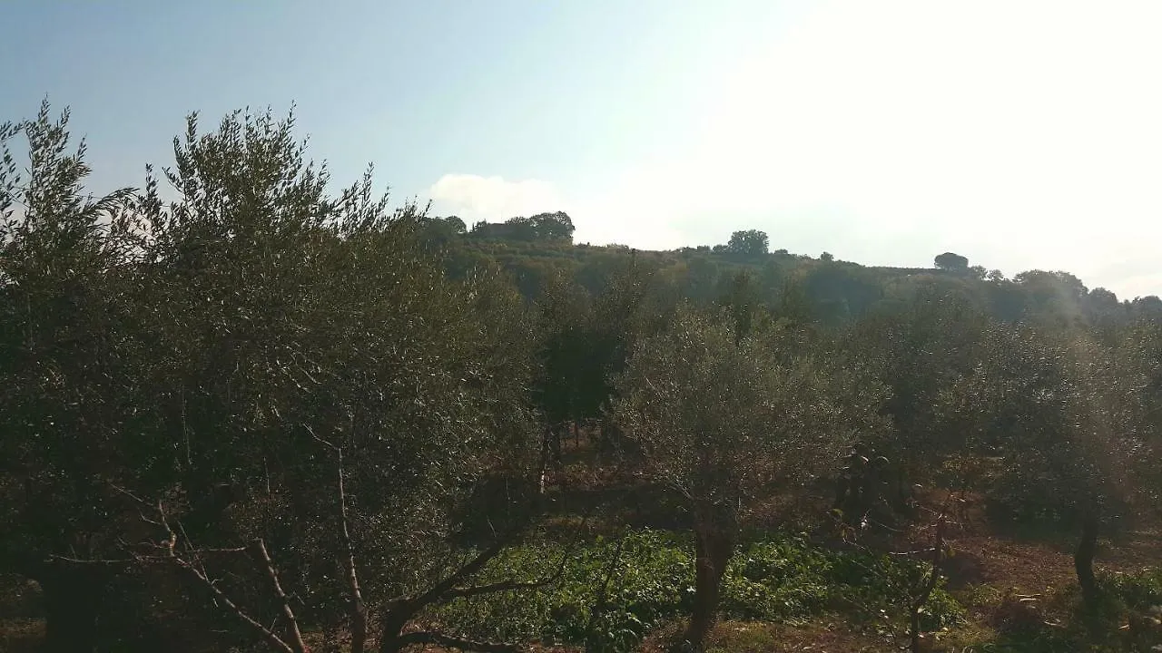 Montevenere 83 Villa Chiusi 0*,  Italy