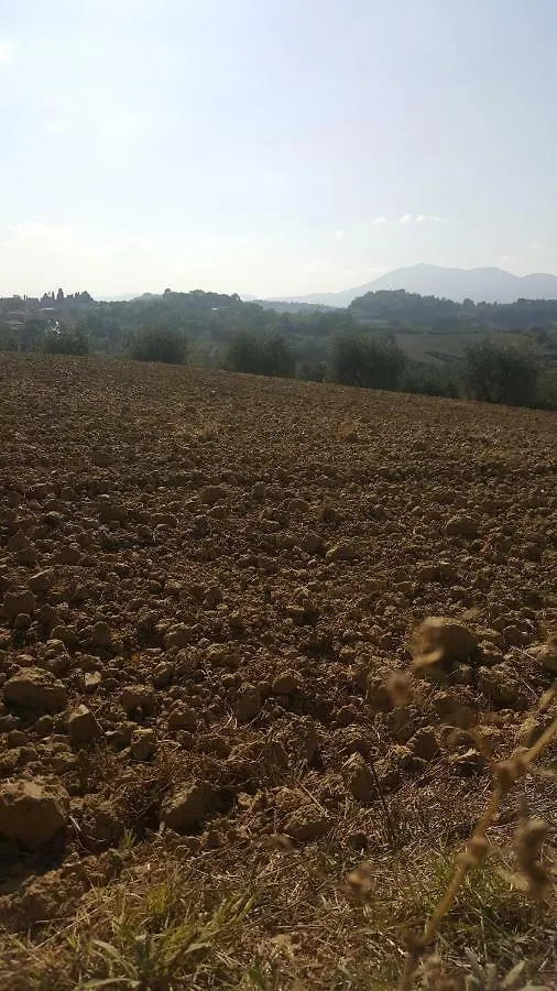 Montevenere 83 Villa Chiusi 0*,  Italy